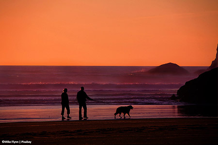 Older couple with dog walking on teh beach at sunset