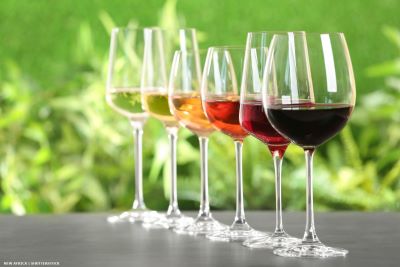 Wine glasses with white, rosé and red wine in a vineyard