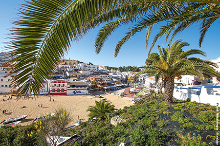 View of Carvoeiro beach through palm leaves