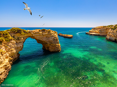 seagull in sky above sea and Algarve cliffs