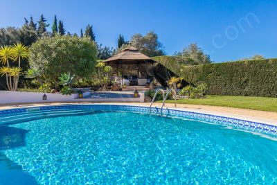 Pool with pergola in the background and lawn to the side