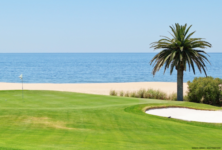 bunker, green with flag, palm tree then a beach and sea