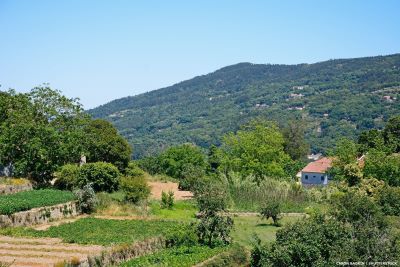 View of Monchique hills, vegetable garden and property