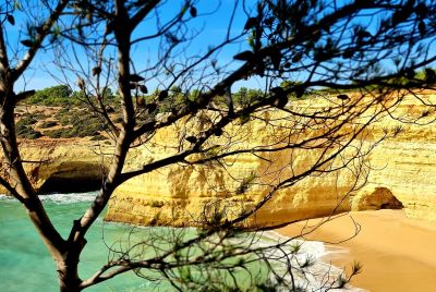 View through a tree to an Algarve  beach and cliffs