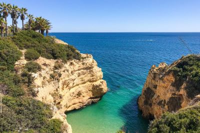 Algarve limestone cliffs with palms looking out to ocean