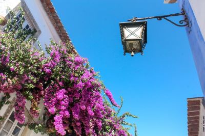 View  from the ground to the sky with bougainvillea growing up the wall of old Portuguese building and old lamp