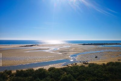 Ria Formosa natural park in Algarve