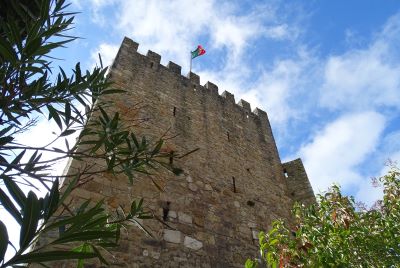 castle wall through foliage