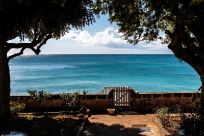 View across lawn under trees to gate and the ocean beyond