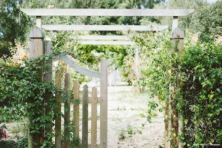 Wooden gates leading to a garden with overhanging soft plants