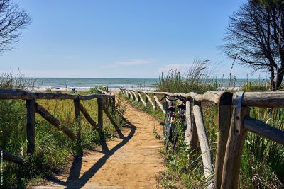 PAthway to beach with a bicycle propped up against the wooden fence