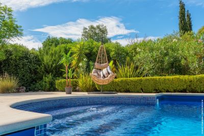 Hanging chair with plant by the side on pool edge