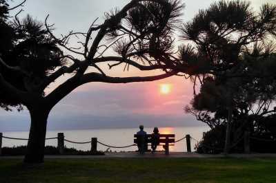 Silhouette of couple sitting on bench looking out to sea